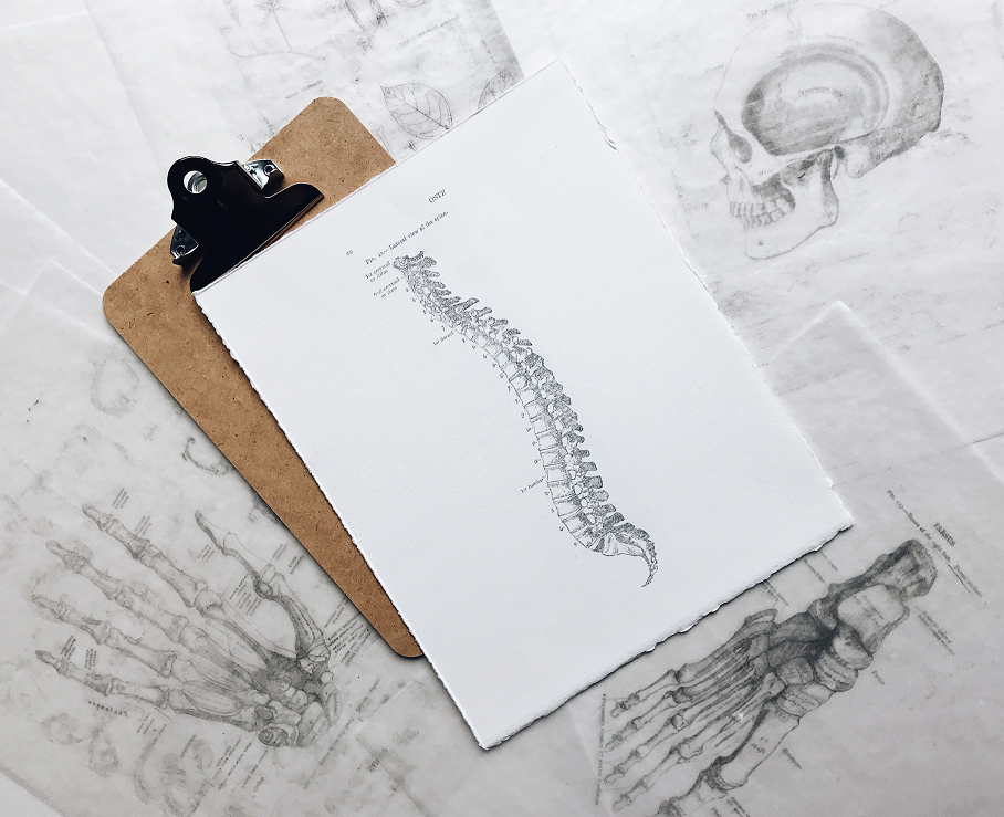 Senior Health: Osteoporosis Awareness