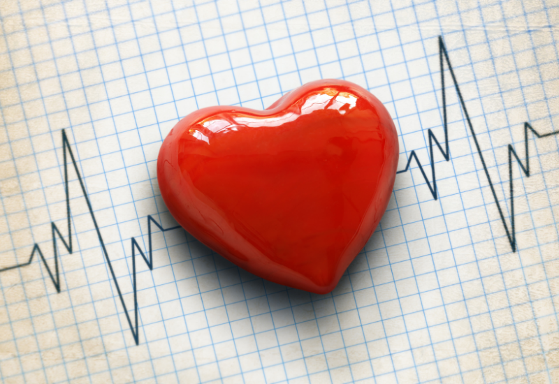 Protect Your Heart